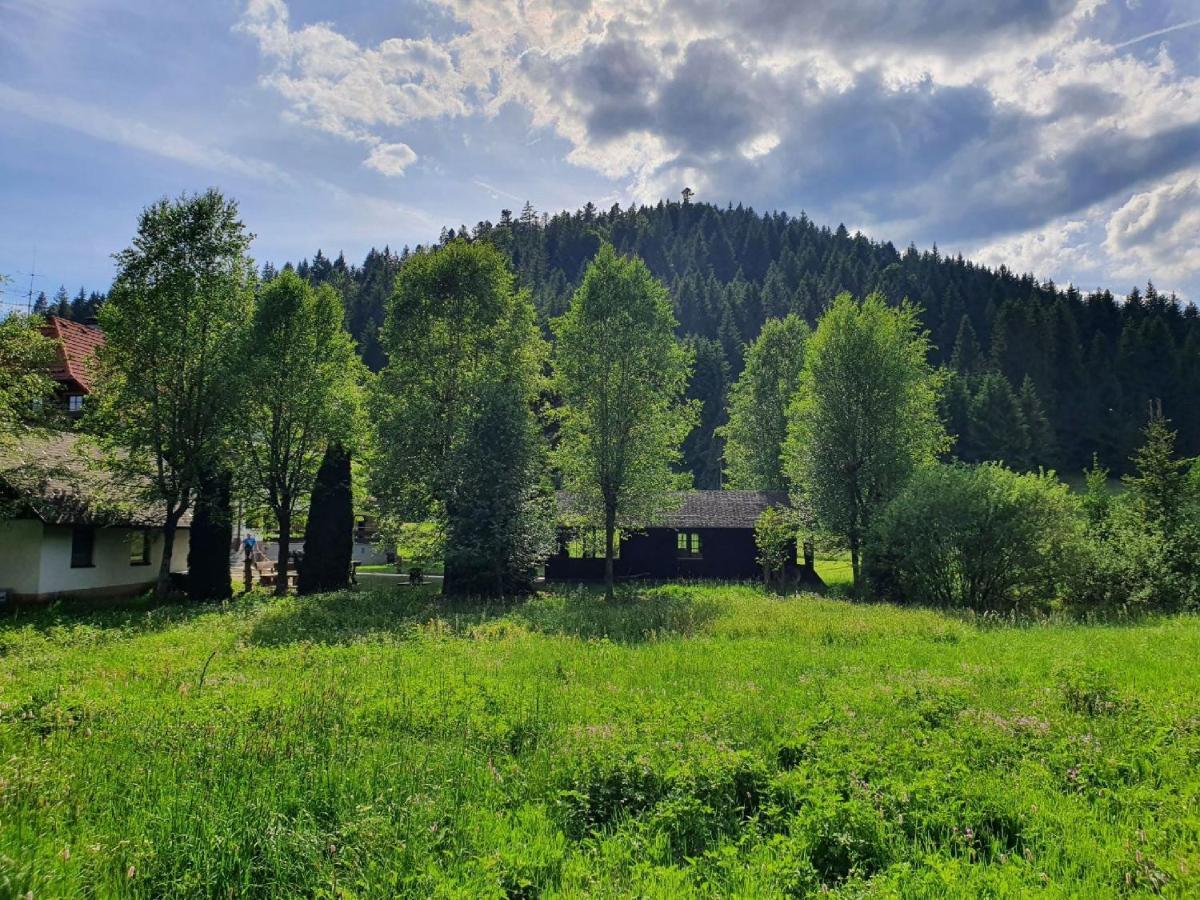 Finkenhof Otel Schluchsee Dış mekan fotoğraf